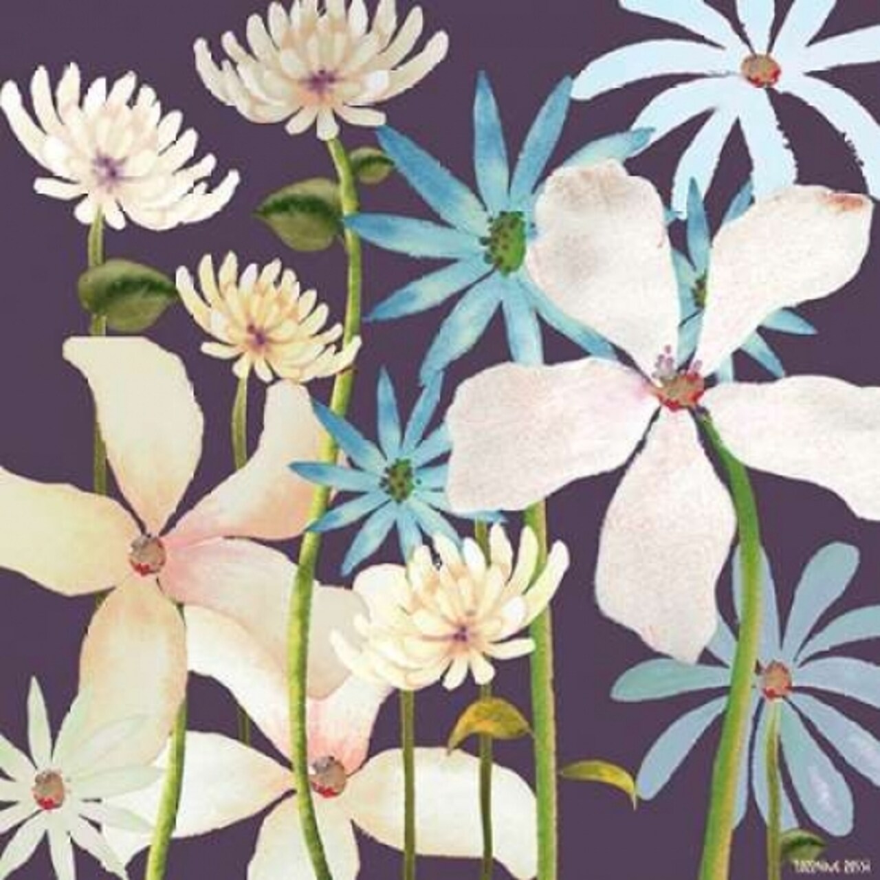 Blackberry Posies Poster Print by Lorraine Rossi - Item # VARPDXLRSQ156A